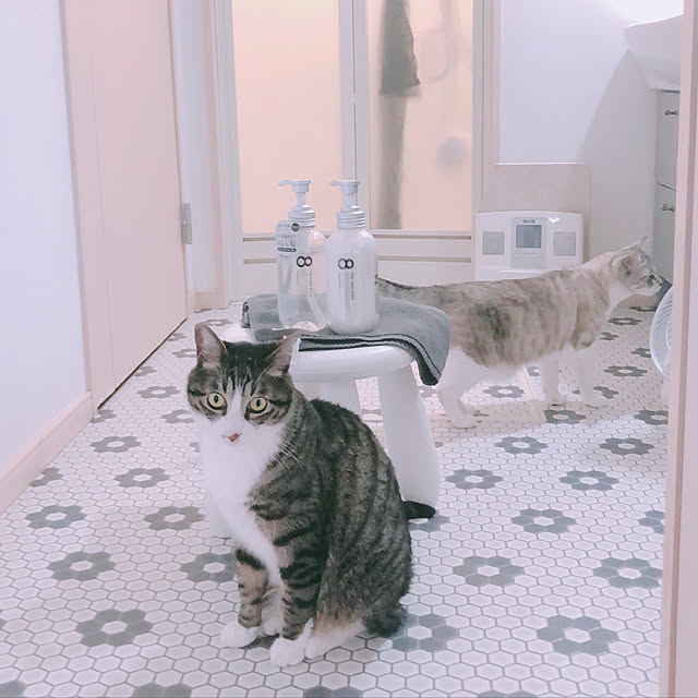 milkcocoaさんの実例写真
