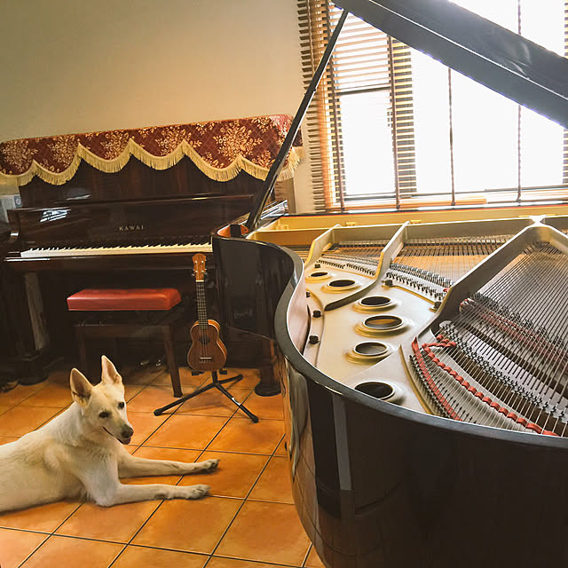 kyo_hibiki_yさんの実例写真