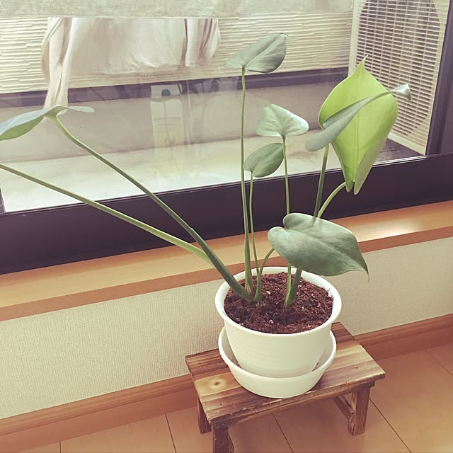 tina-na.0223さんの実例写真
