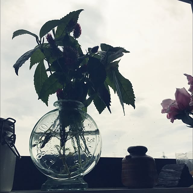 keitinさんの実例写真