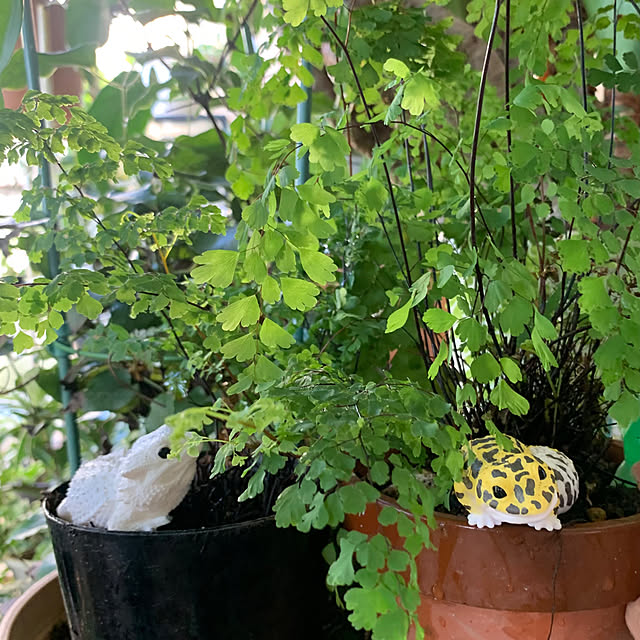 Aqettyさんの部屋