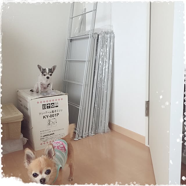 Emiさんの実例写真
