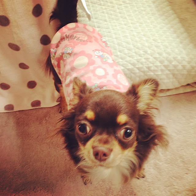 cookie_houseさんの実例写真