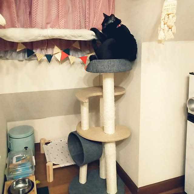 Tさんの実例写真