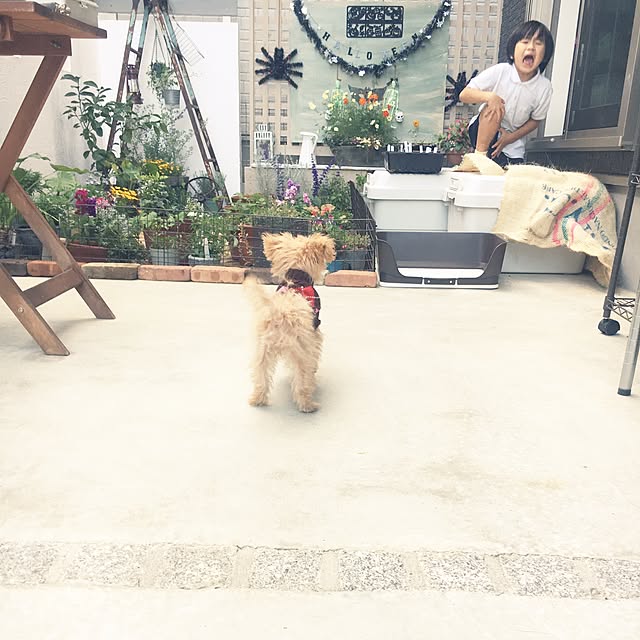 cocco0505さんの実例写真