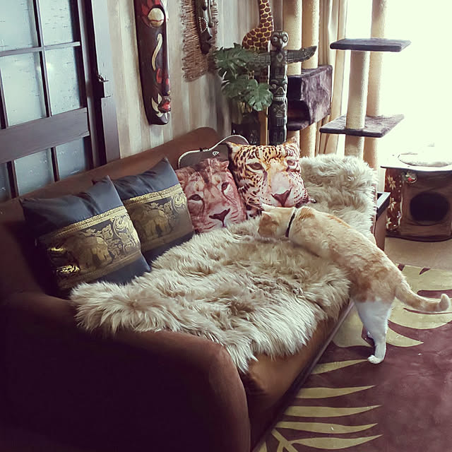 kobakissaさんの実例写真