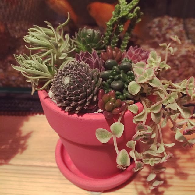 eriさんの実例写真