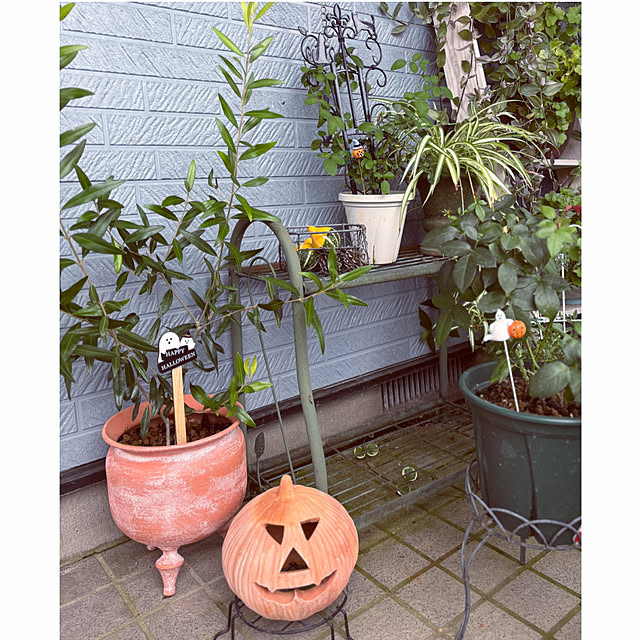 CoCo0617さんの部屋