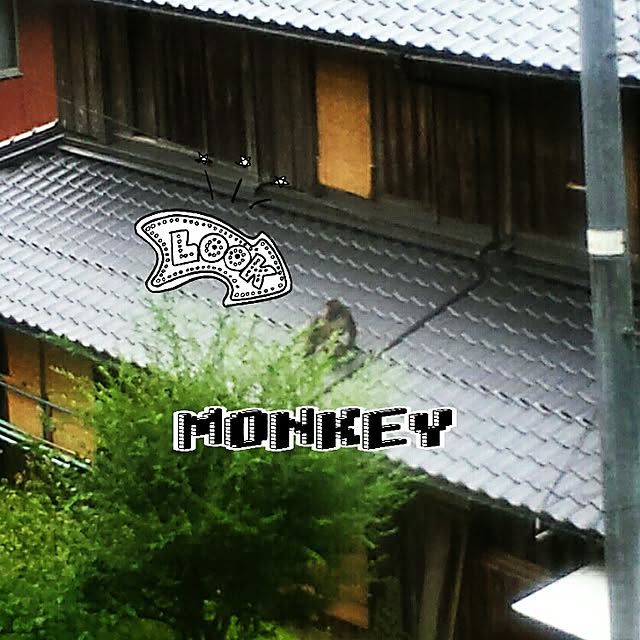 norikuuさんの実例写真
