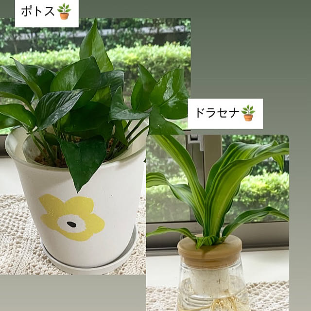 YuuKoさんの実例写真
