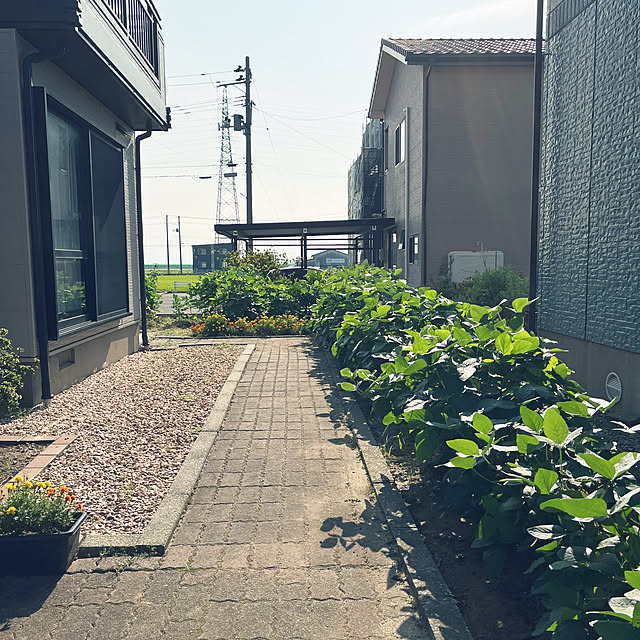 cannac.さんの部屋