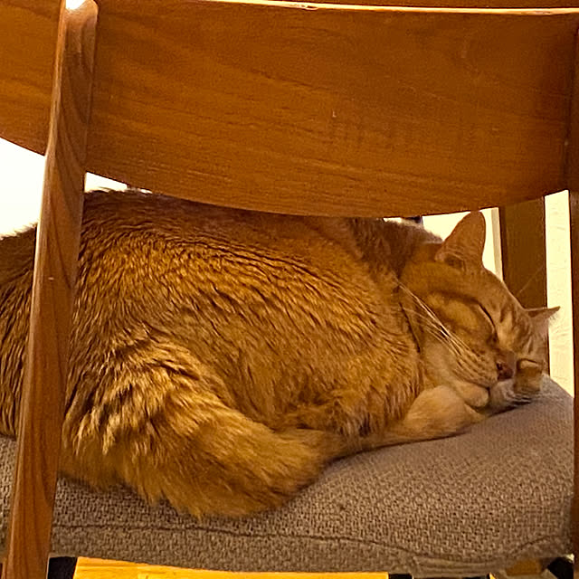 Hisashiさんの部屋