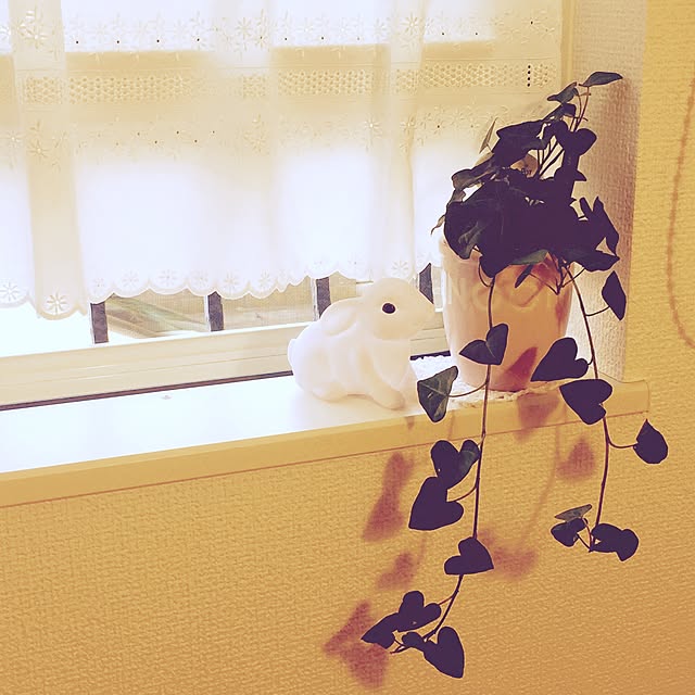 sakukuruさんの実例写真