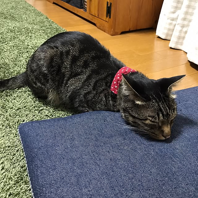 lalaさんの実例写真