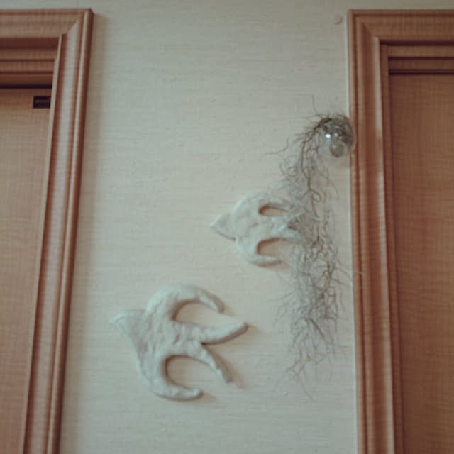 yuki-pandaさんの実例写真