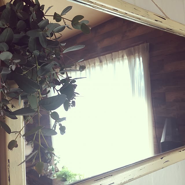 koharuさんの実例写真