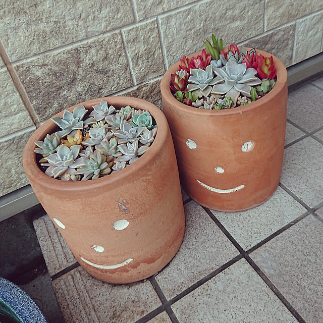 soyokoさんの実例写真