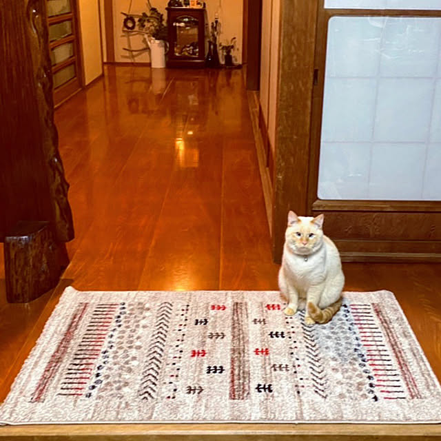 mohhaさんの実例写真