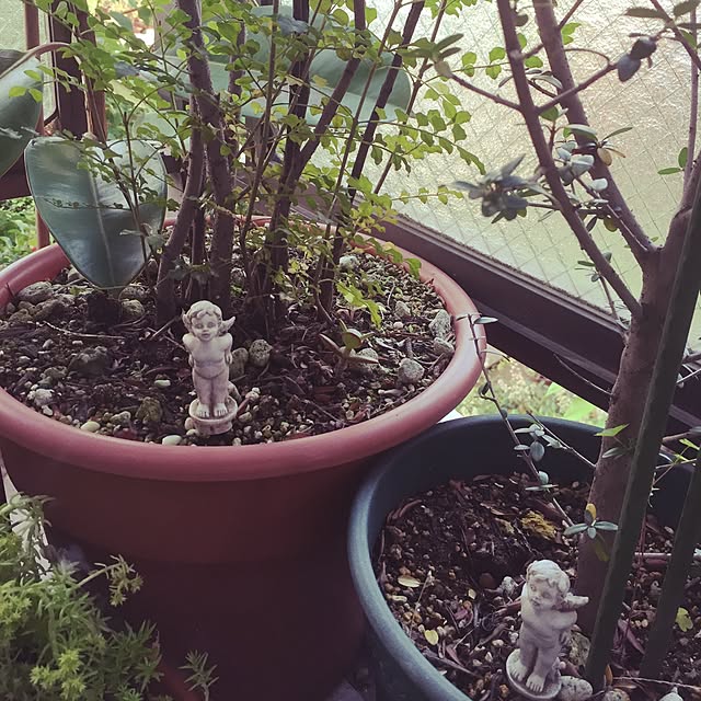 yuki_atさんの実例写真