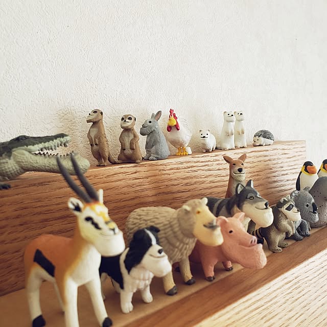 wanidaさんの部屋