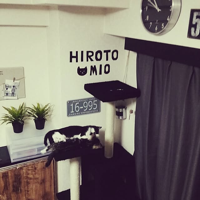 yuuさんの実例写真