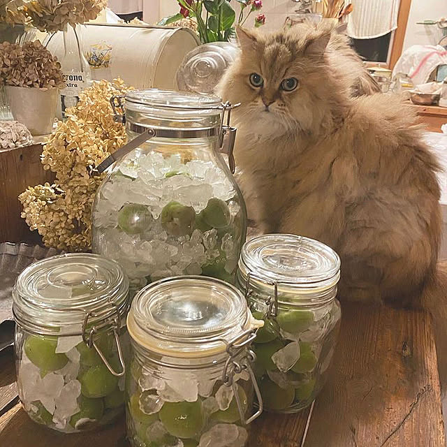 teddyさんの実例写真