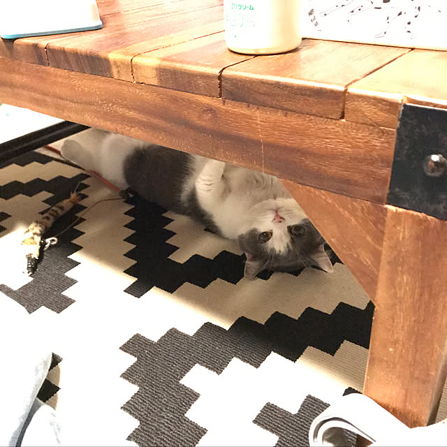 noikoさんの実例写真