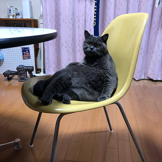 Shojiさんの実例写真