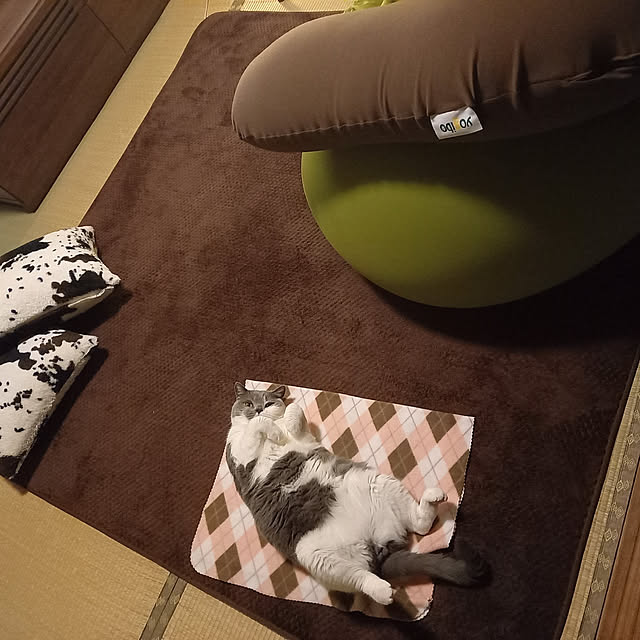 rhuさんの実例写真