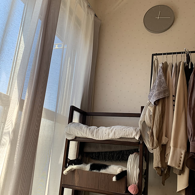 Oyumiyummyさんの実例写真