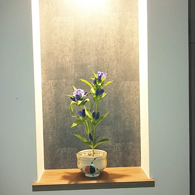kiwami302002さんの実例写真