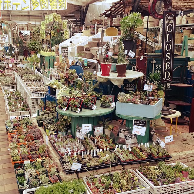 saori0712さんの実例写真