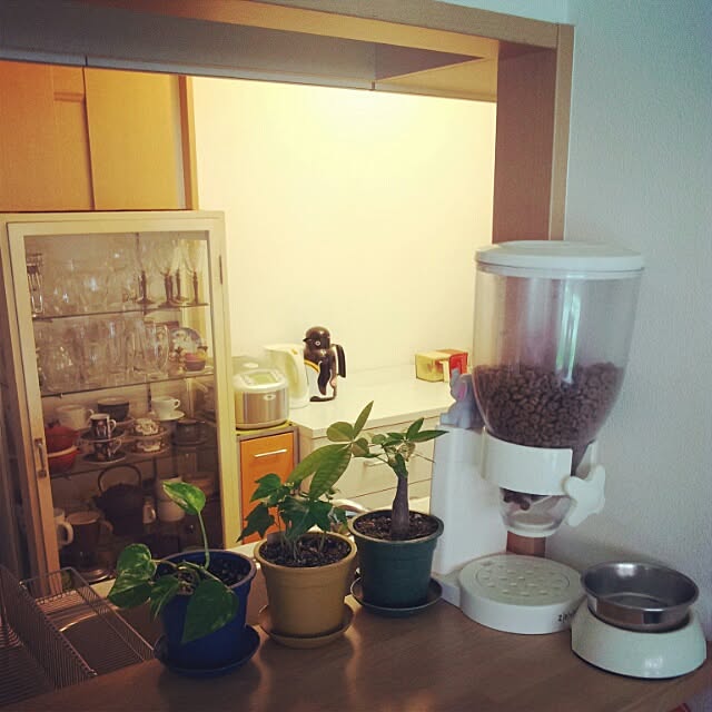 Tomomiさんの実例写真