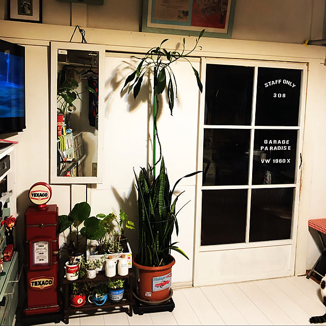 arayanさんの部屋