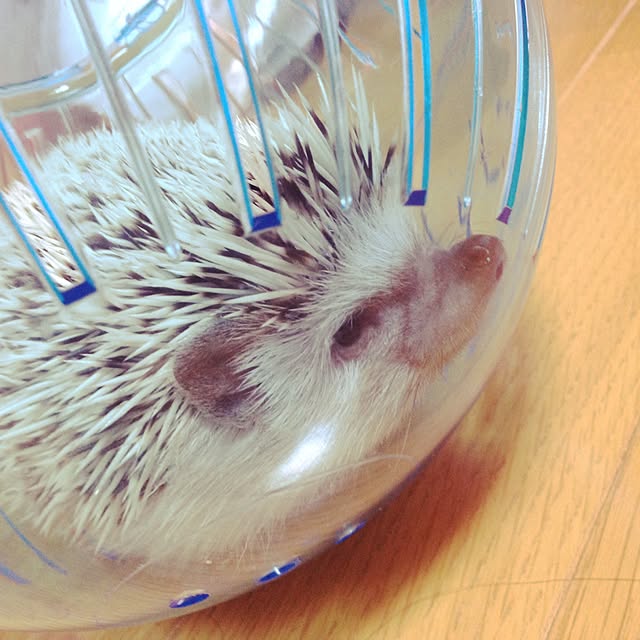 keeeさんの実例写真