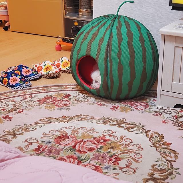kumutanさんの実例写真