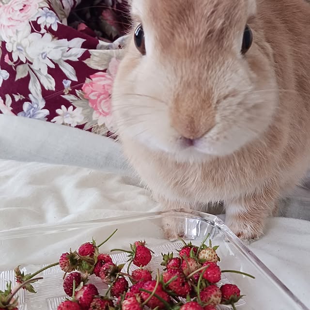 aiさんの部屋