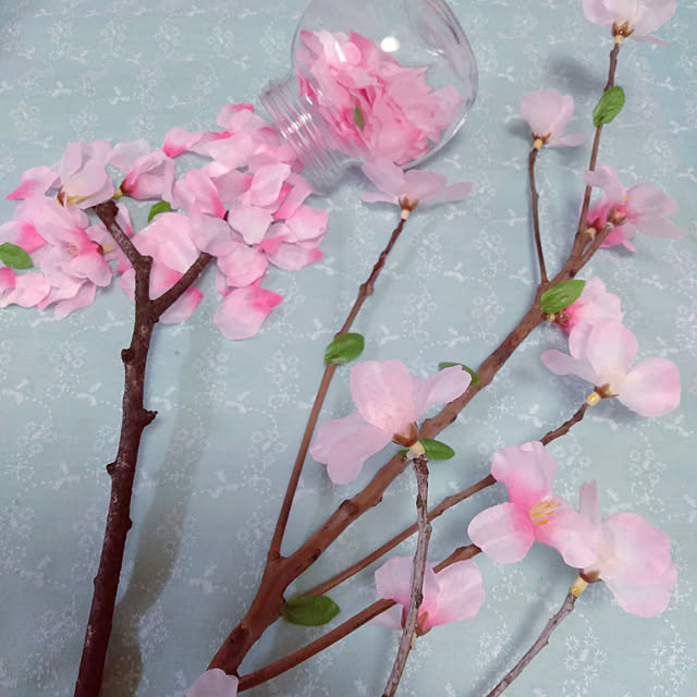 neoyukikoさんの実例写真