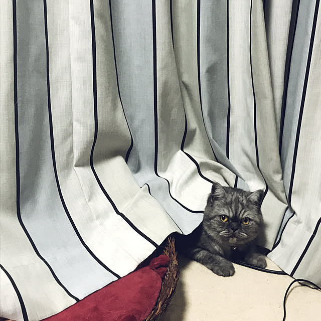 Marinさんの実例写真