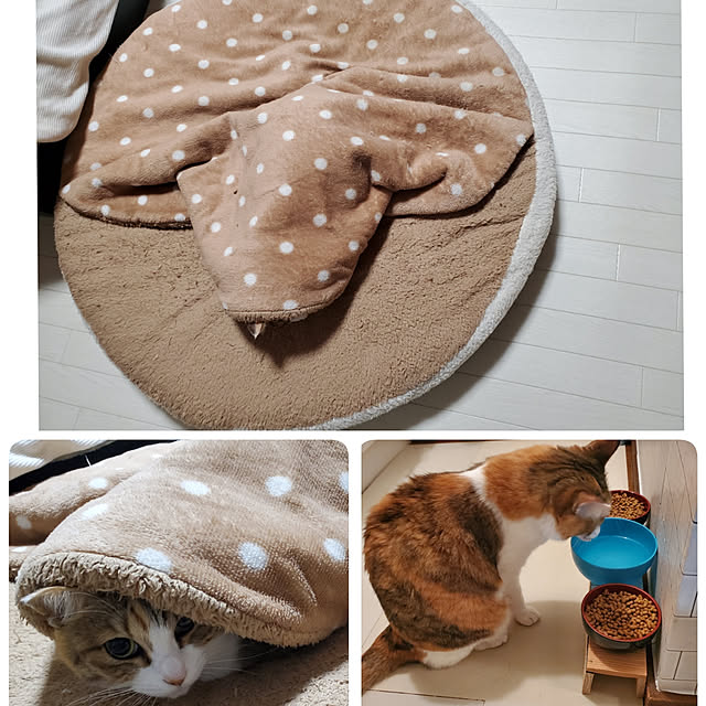 berariさんの実例写真