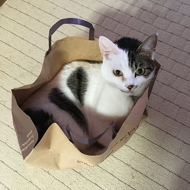 yocchiさんの実例写真