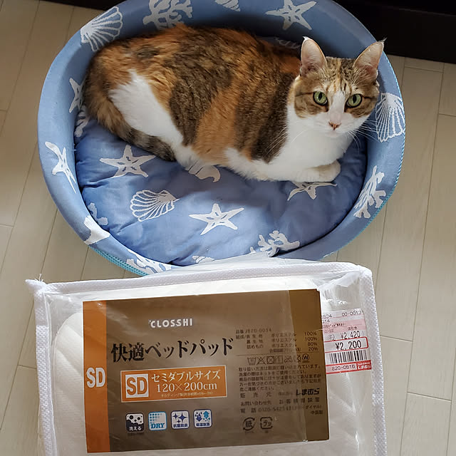 berariさんの実例写真
