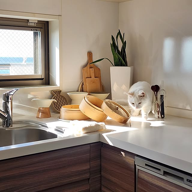 tomatoさんの実例写真