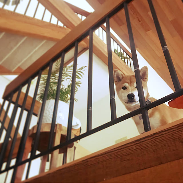 Selinaさんの実例写真