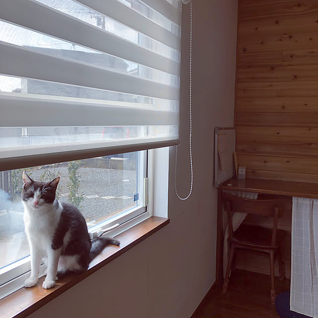 ikutamaさんの実例写真