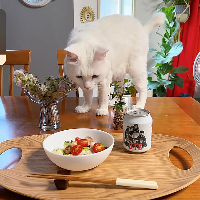nyanko-beamさんの部屋