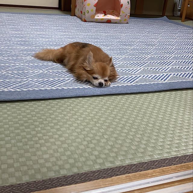 koroさんの部屋