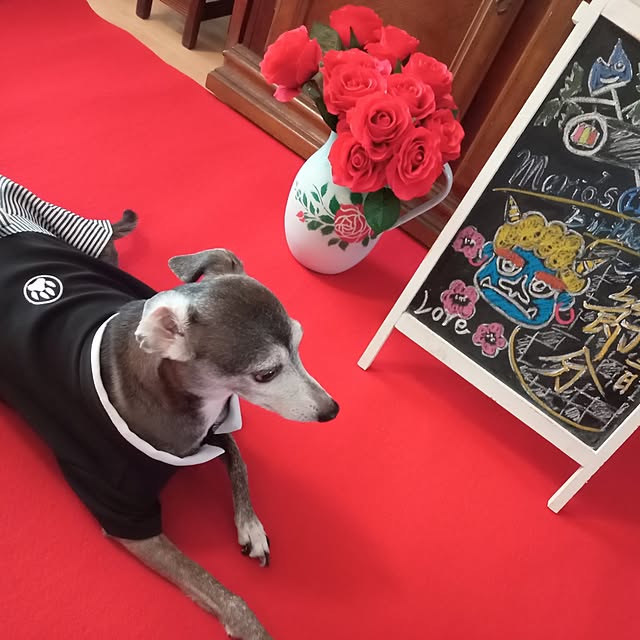 moruさんの部屋