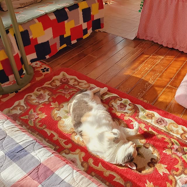 kumutanさんの実例写真