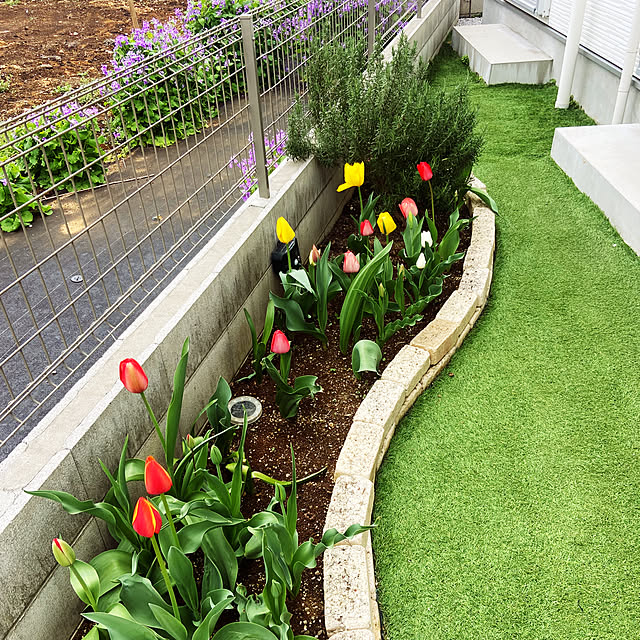 Haruさんの実例写真